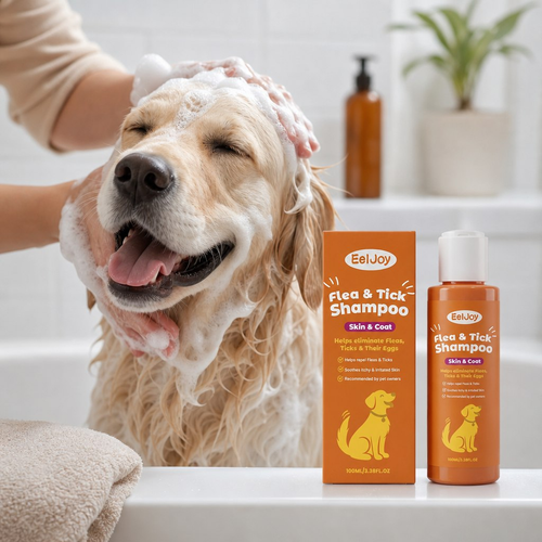 Dog being washed with shampoo
